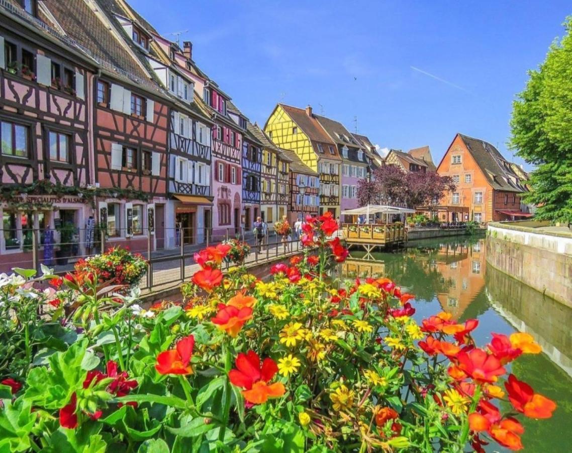 Gite Cote Cour Colmar Dış mekan fotoğraf